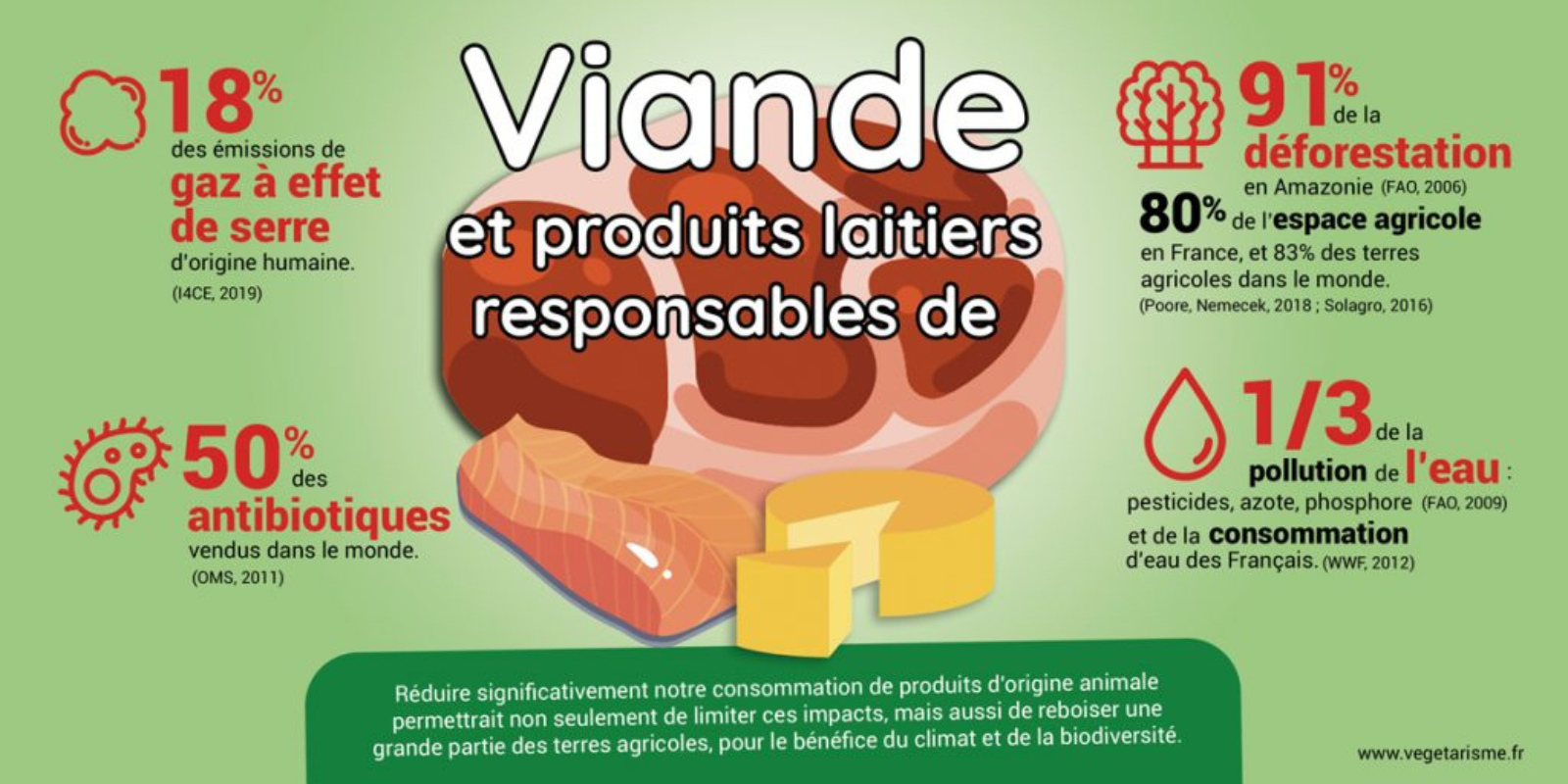 l'impact de la viande