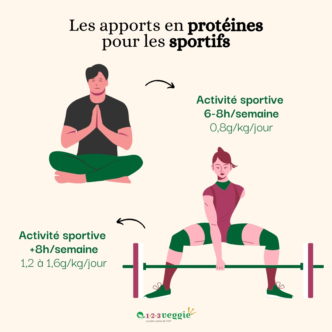 besoins en proteines des sportifs